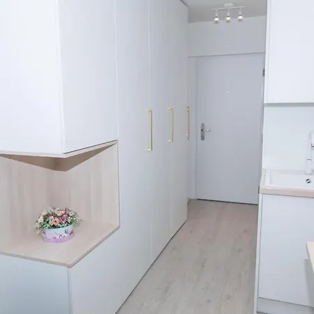 In The Center Of Kosicka 52 布拉迪斯拉发